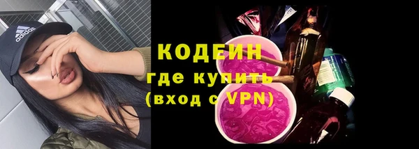 хмурый Аркадак