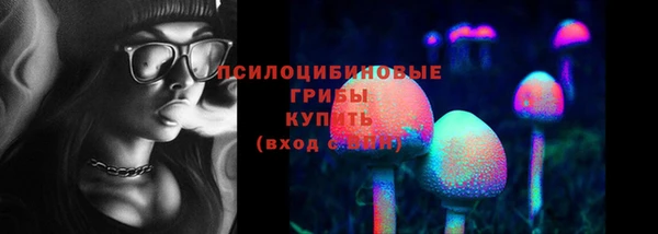 шишки Армянск