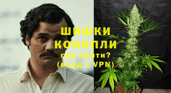 шишки Армянск