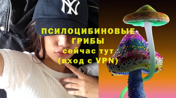 мдпв Арсеньев