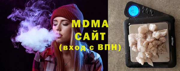 хмурый Аркадак