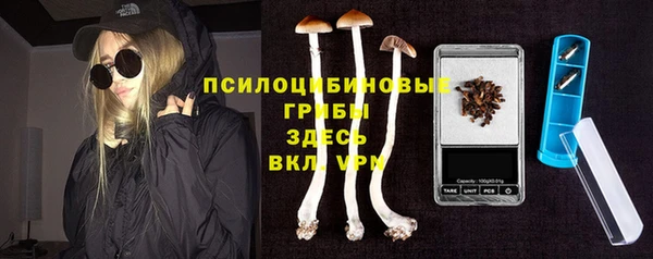 мдпв Арсеньев