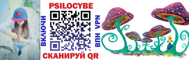 Псилоцибиновые грибы мицелий Ростов